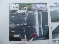 img (163)